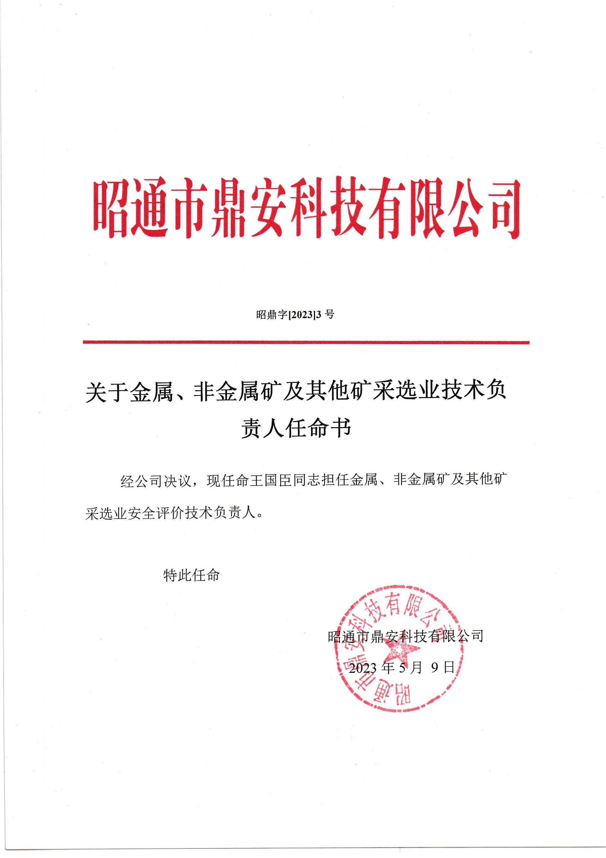 關(guān)于金屬、非金屬礦及其他礦采選業(yè)技術(shù)負(fù)責(zé)人任命書-王國臣_2.jpg